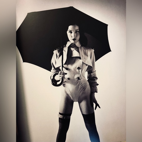 NWOT Burlesque, and the art of the Teese/ fetish, and the art of the Teese - Picture 5 of 5